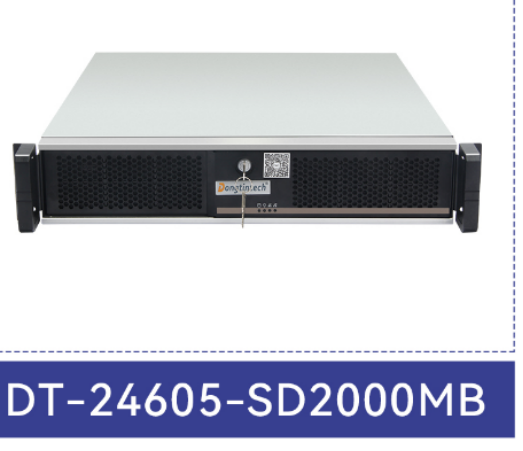 PA真人集团网安服务器【DT-24605-SD2000MB】